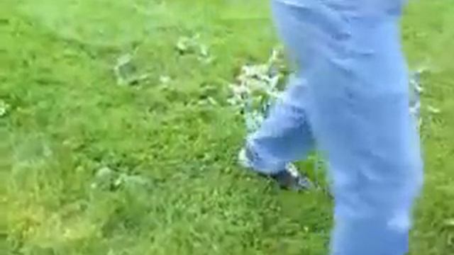 Troy-Bilt CSV 206 Chipper Shredder Vacuum III смотреть онлайн