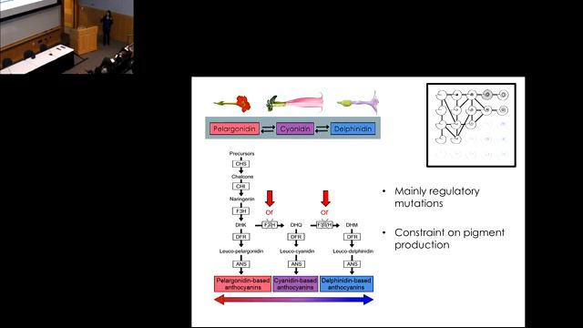 UM EEB ECSS 18: Julienne Ng, University of Colorado, Boulder смотреть онлайн