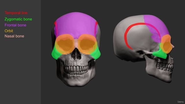 001 Skull.mp4 смотреть онлайн