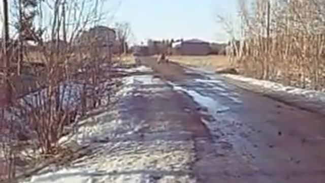 Трайк смотреть онлайн