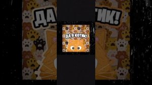 песня бездомный кот