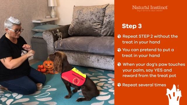 Tricks For Treats - NATURAL INSTINCT Halloween Campaign - HIGH FIVE смотреть онлайн