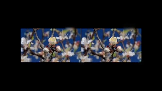 Ускоренное видео (time lapse) в 3D формате смотреть онлайн