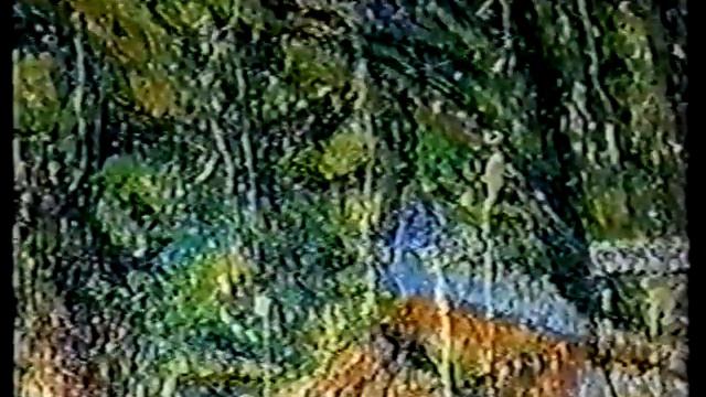 Dr. Peter Schütt on Davood Roostaei and Cryptorealism (1997) смотреть онлайн