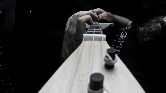 Ancient Lyre - Toxicity (covering System of a Down) with Bastian Kieslinger смотреть онлайн