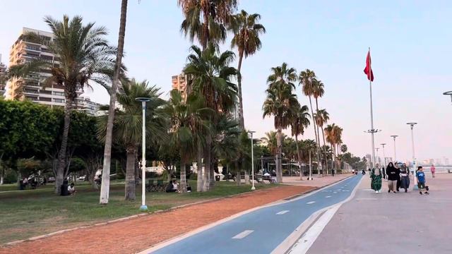 13🇹🇷МЕРСИН 2023/ МОИ ЖИВОТНЫЕ ЖИВУТ НА СРЕДИЗЕМНОМ МОРЕ#türkiye #pets #animals #йорк смотреть онлайн