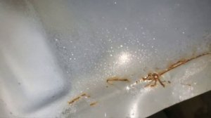 Цинкарь надо смывать?!? Цинковый или кислотный грунт лучше?