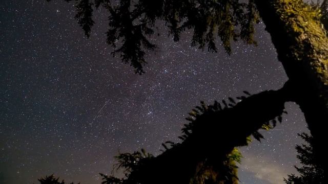Лечебная музыка для глубокого сна и восстановления сил смотреть онлайн