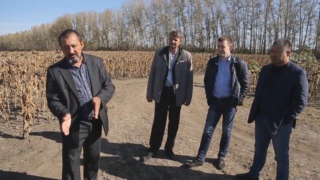 Технология возделывания гибридов подсолнечника смотреть онлайн