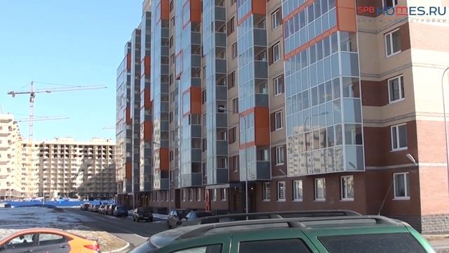 ?️♂️ Тайный покупатель - ЖК «Мурино 2019» | SPBHOMES смотреть онлайн