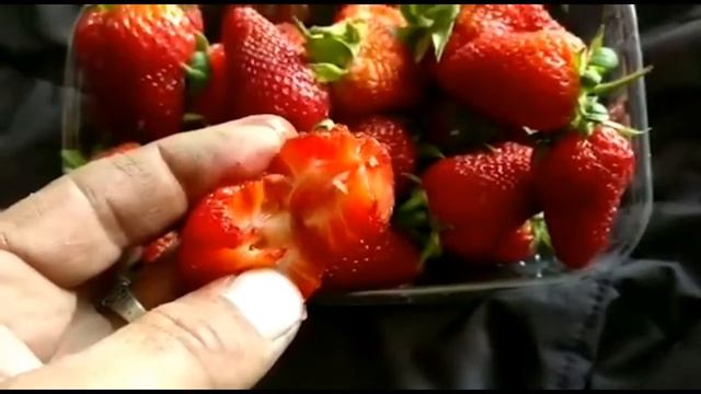 Что мы едим почти каждый день смотреть онлайн