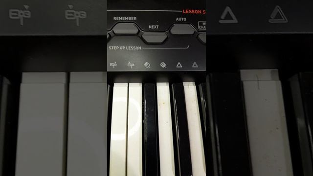 Casio  Ctk-3000