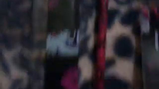 Моя коллекция Монстер Хай) смотреть онлайн