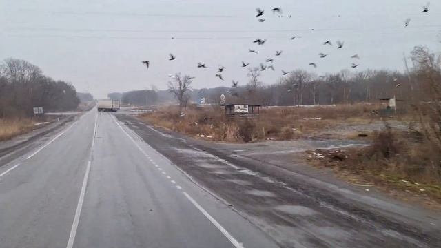 9.11.2023 год. Выехал со стоянки Лесозаводское. Вся жизнь в дороге. смотреть онлайн