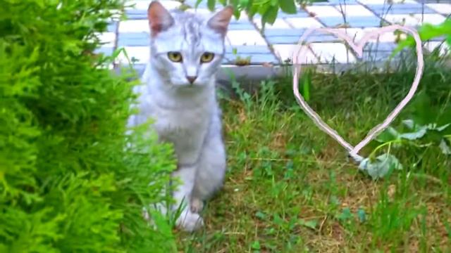 Что делать летом?Что делать летом когда скучно?(Перезалив) смотреть онлайн