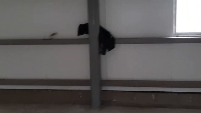 Коровник на 100 голов мини ферма КРС смотреть онлайн