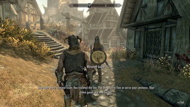 Skyrim Stop right there criminal scum смотреть онлайн