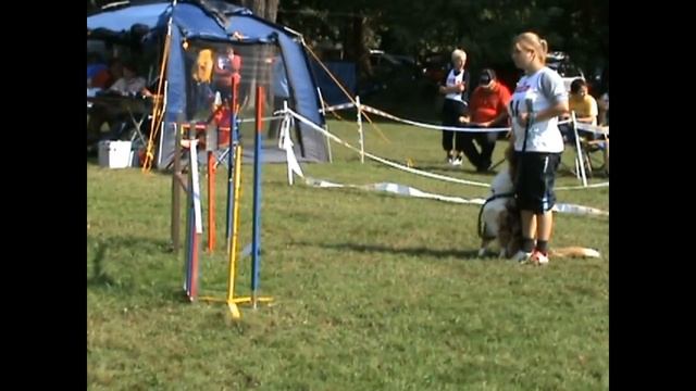 agility bioggio 2009 смотреть онлайн