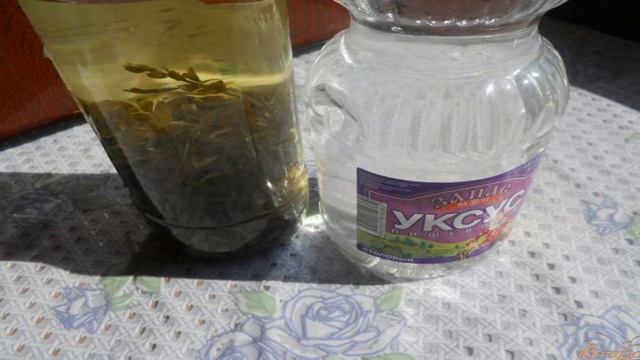 1000 и 1 рецепт