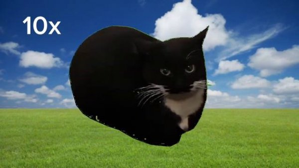 Maxwell speed 999x ???