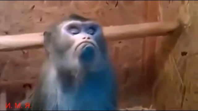 ЛОЛИТА "Я ОБИДЕЛАСЬ ." смотреть онлайн