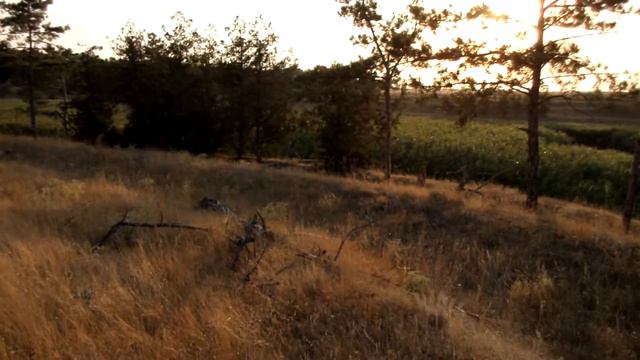 ВПВД вокруг солёного лечебного оз.г.Саки.Крым.2017.08.14.(2)