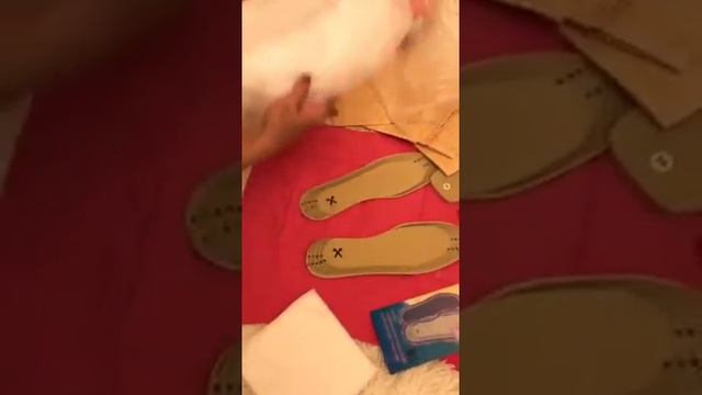 Асония в Ставрополе/Наталья получила посылку из Пензы смотреть онлайн