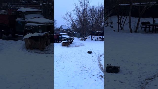 Кормите птиц по возможности зерном или хлебом или еще чем то зимой им тяжело пропитание найти. смотреть онлайн