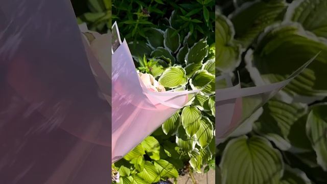 Обожаю , когда падает свет красиво ????Его Величество букет из Зефира ?????? смотреть онлайн