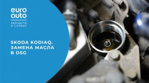 Skoda Kodiaq. Замена масла в DSG.