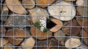 габионы своими руками пошаговая инструкция