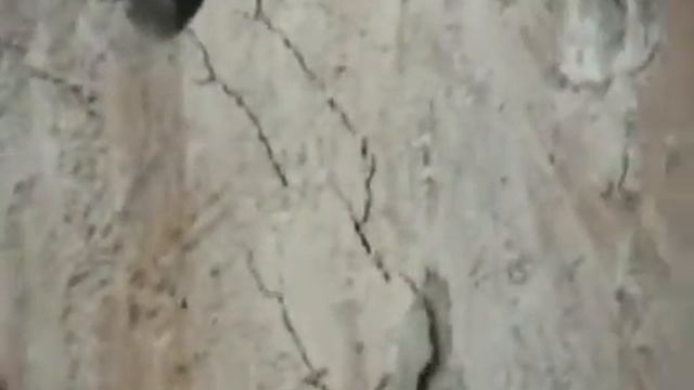 Сломать?! Не все так просто! смотреть онлайн