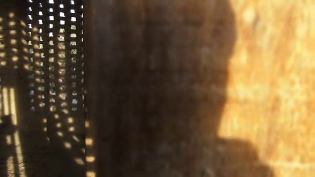 Турфан виноградный смотреть онлайн