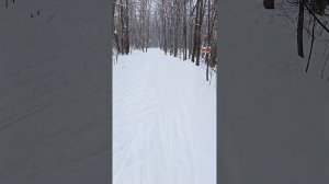 Обзор лыж ski trab skate