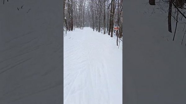 Обзор лыж ski trab skate