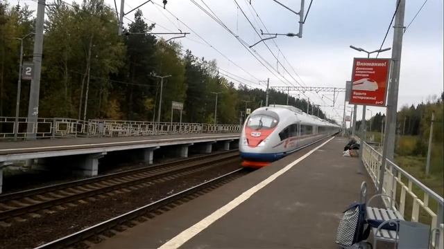 Сапсан мчится смотреть онлайн