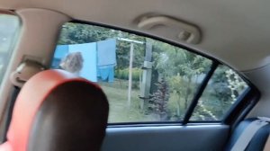 Жесткая тонировка ATERVOX отзыв с обзором