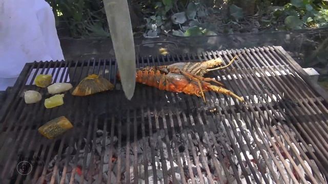 Hotel Sol Palmeras - Varadero Vacation 2019 - BBQ Lobster in resort facilities смотреть онлайн