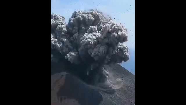 ПЛАНЕТА ЗЕМЛЯ смотреть онлайн