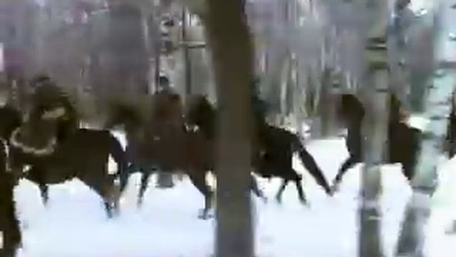 Гайдн Й. Симфония № 73"Охота" D - dur. IV Presto смотреть онлайн