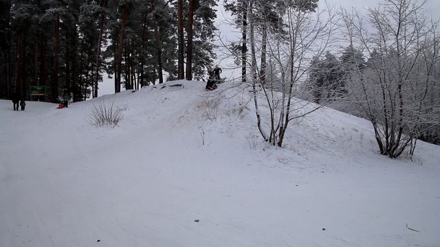 Зимний лес Тольятти. Записки горожанина #187 смотреть онлайн