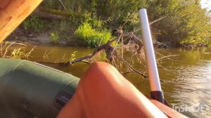 Рыбалка на спиннинг на реке Хопер на хищника!