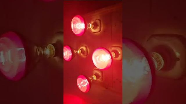 NIR Sauna смотреть онлайн