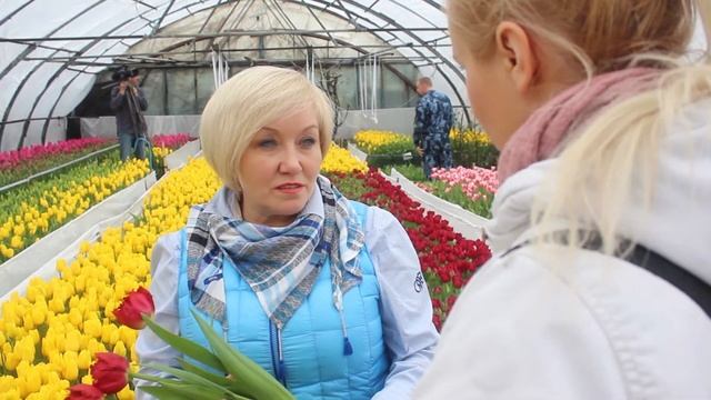 В самарской колонии вырастили 75 тыс. тюльпанов смотреть онлайн