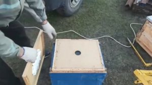 Работа изолайдера в пчеловодстве