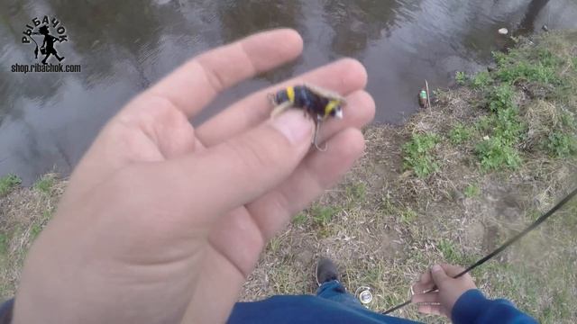 Шмель – лучший воблер жук на голавля весной смотреть онлайн