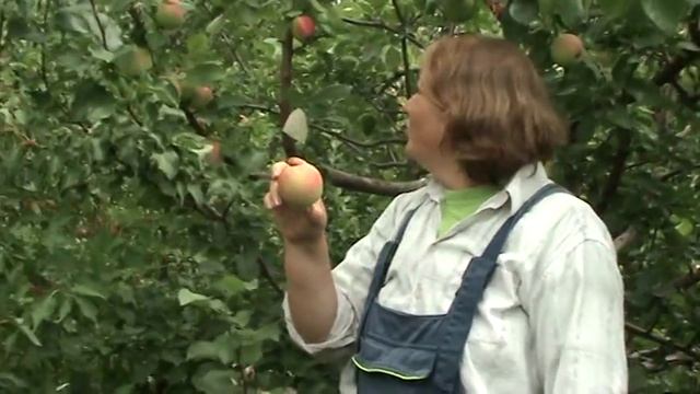 мелба смотреть онлайн