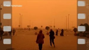 Мощная пыльная буря в Египте, жители напуганы