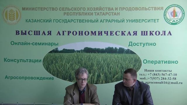 Особенности ухода за посевами зерновых культур. смотреть онлайн