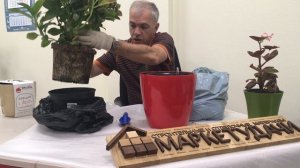 Сажаем большой цветок в большой горшок! С автополивом, естественно...